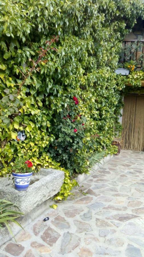 La Luciernaga Guest House Sorihuela Exterior photo